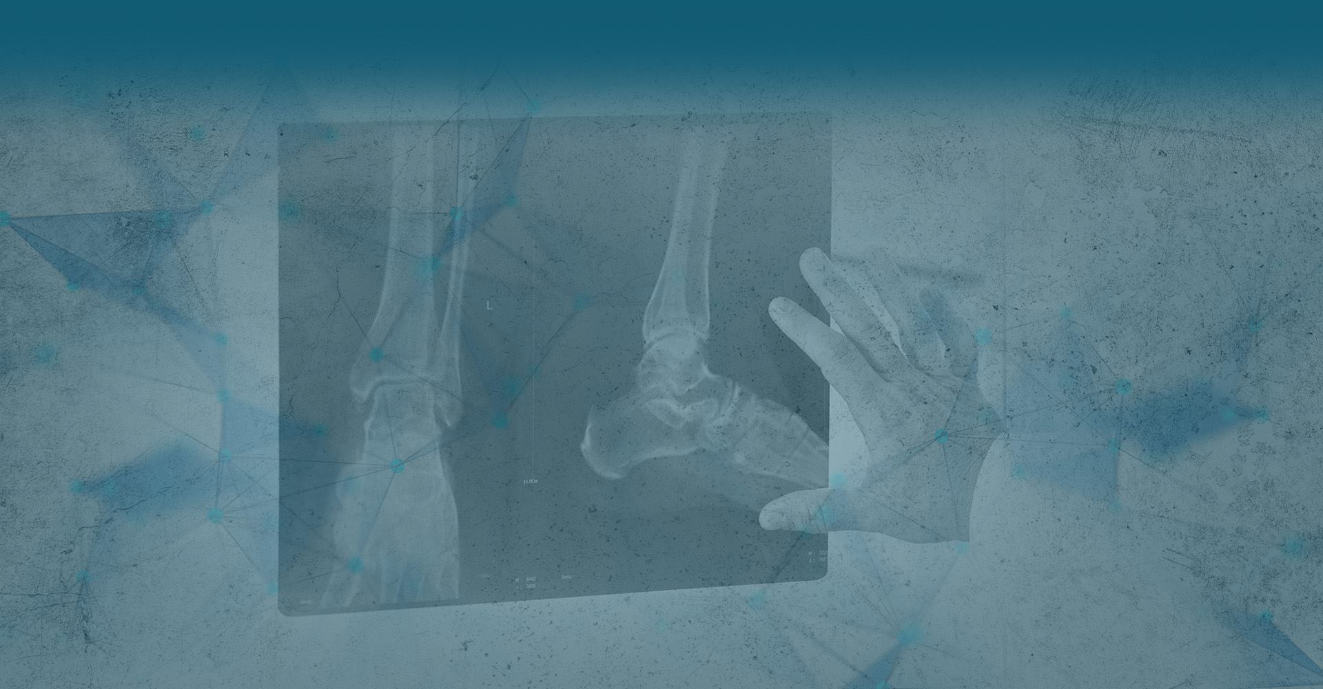 11 Fun Feet Facts Bux-Mont Foot & Ankle Care