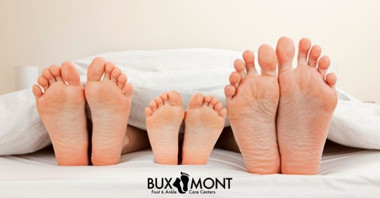 Three pairs of feet sticking out from under a blanket